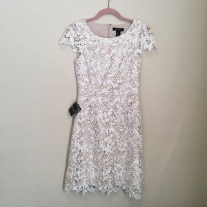NWT. WHBM dress